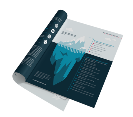 Eisbergmodell zu den Herausforderungen eines CRM-Wechsels Eisbergmodell zu den Herausforderungen eines CRM-Wechsels