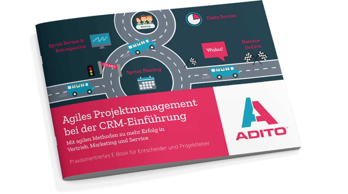 E-Book: Agiles Projektmanagement