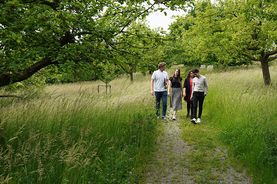 ADITO Obstgarten