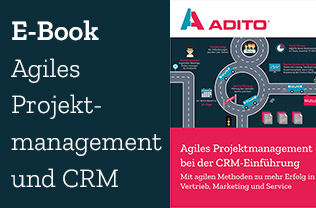 E-Book Agiles Projektmanagement