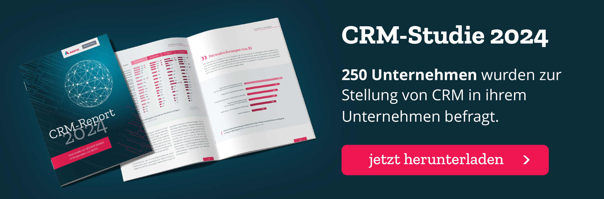 CRM-Studie