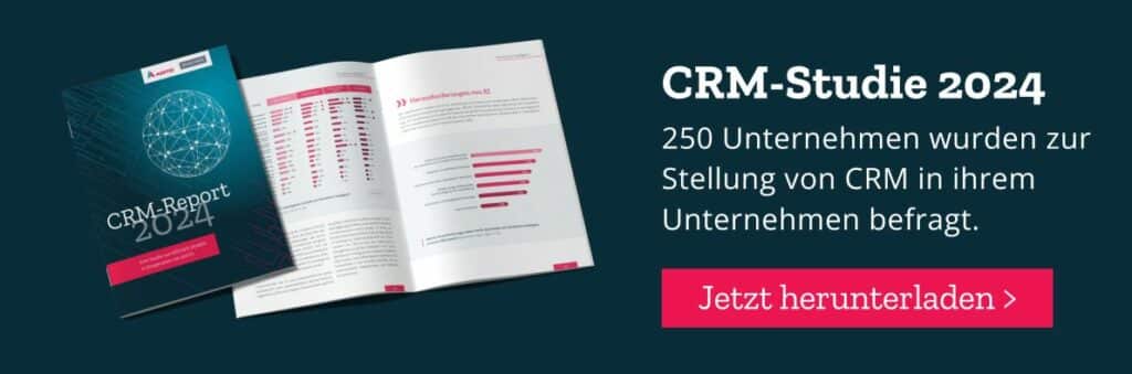 CRM-Studie 2024